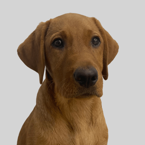 Mia - Feel Good Manager