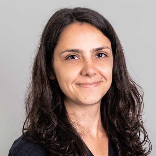 Svetla Medam - Solution Development